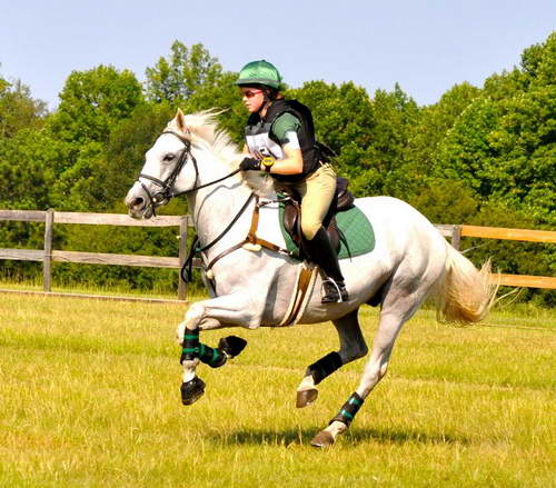 Kaylin Medlin Harley - Full Gallop 2011