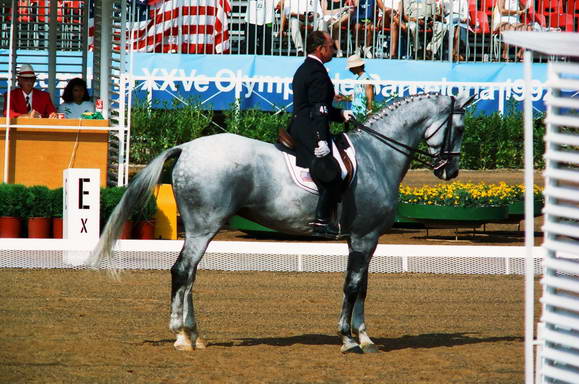 Michael_Poulin_Barcelona-122-DDeRosaPhoto.JPG