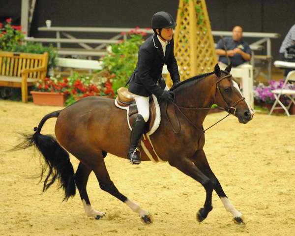 PeterPletcher-USHJA-Derby-8-20-10-DER_8095-QRnd1-Dominick-DDeRosaPhoto.JPG