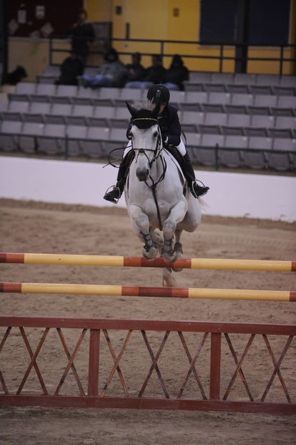 DSC_1837-DeRosaPhoto.JPG