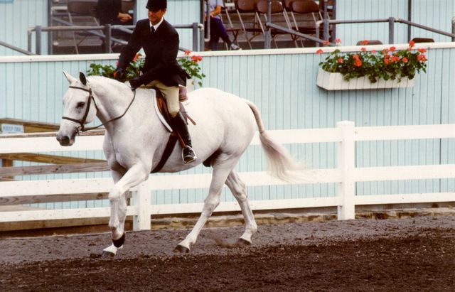 300-DevonR8-15-PeterPletcher-Geste-Flat.jpg
