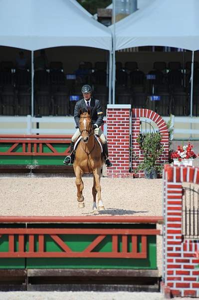 AHJF-2-12-09-1096-Solitaire-PeterPletcher-1stYrB-DDeRosaPhoto