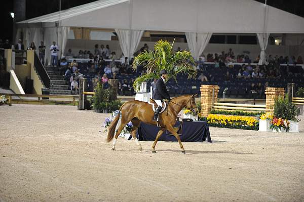 AHJF-2-14-09-HtrClassic-469-Arabella-PeterPletcher-DDeRosaPhoto
