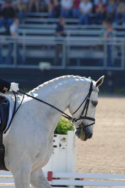 159-KimSeverson-TipperaryLiadhn-Rolex-4-25-08-DeRosaPhoto