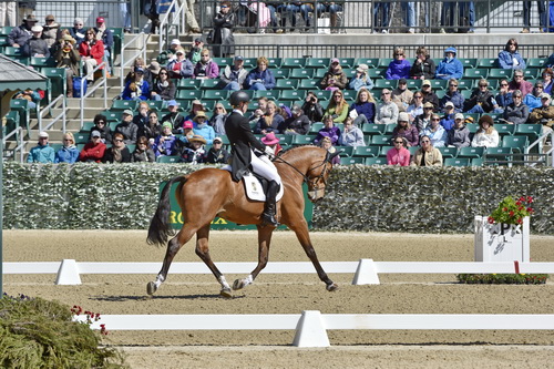 Rolex-DRE-4-23-15-1315-KristinSchmolze-BallylaffinBracken-DDeRosaPhoto