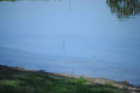So8ths-5-2-12-Setup-9785-DDeRosaPhoto