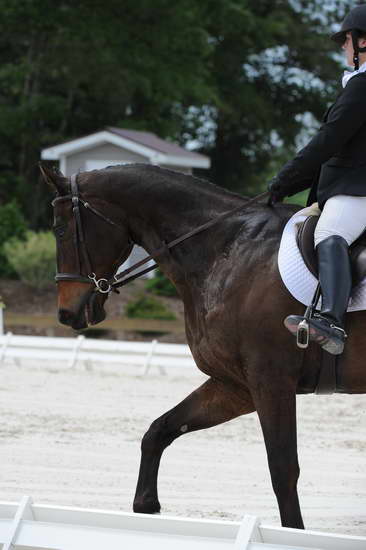 So8ths-5-4-12-Dressage-1298-SydneyParks-RunninAMuck-DDeRosaPhoto