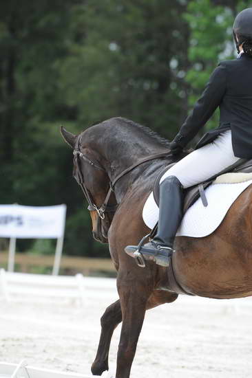 So8ths-5-4-12-Dressage-1312-SydneyParks-RunninAMuck-DDeRosaPhoto