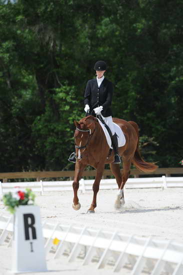 So8ths-5-4-12-Dressage-0872-KelseyBriggs-TheItalianJob-DDeRosaPhoto