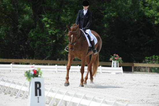 So8ths-5-4-12-Dressage-0932-KristinNeill-BigBonesBailey-DDeRosaPhoto