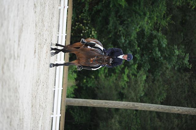 So8ths-5-4-12-Dressage-0603-LindsayStaianoWilliams-TriumphII-DDeRosaPhoto