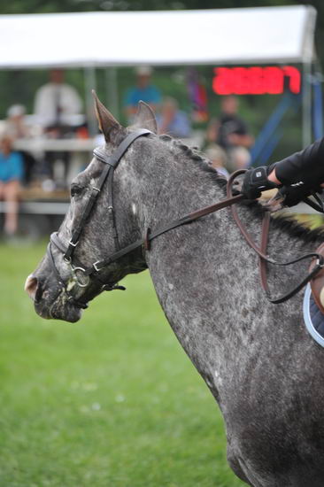 So8ths-5-6-12-SJDay-5156-GigiJoseph-GoneWithTheWin-DDeRosaPhoto