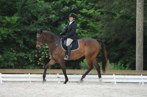 So8ths-5-4-12-Dressage-0651-GwenKriskie-Barney-DDeRosaPhoto - Copy