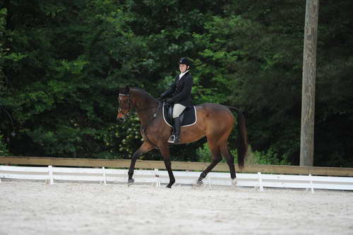 So8ths-5-4-12-Dressage-0651-GwenKriskie-Barney-DDeRosaPhoto