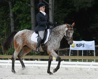 So8ths-5-4-12-Dressage-0828-RisaMoon-LilyB-DDeRosaPhoto