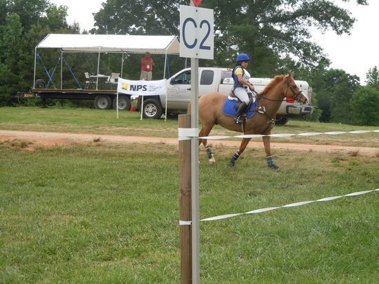 Trae Meder-83-25