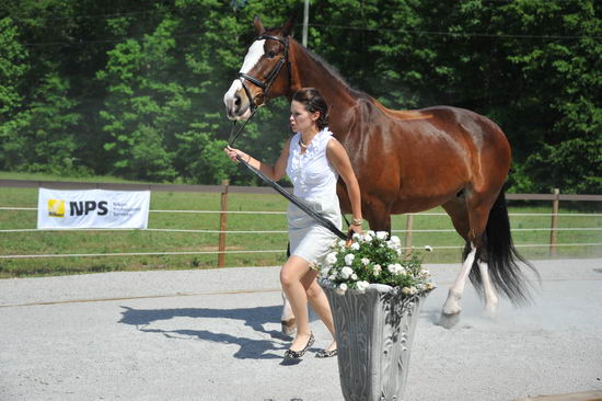 So8ths-5-3-12-1stJog-2117-KindellBillingsley-Keeneland-N3D-DDeRosaPhoto