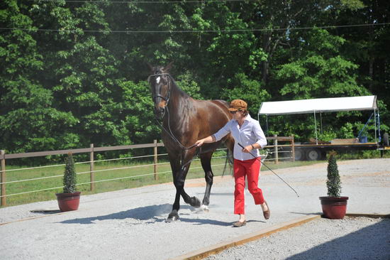 So8ths-5-3-12-1stJog-2132-SarahMorton-Womble-N3D-DDeRosaPhoto