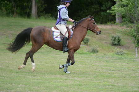 So8ths-5-4-13-XC-6934-SaraMiles-Misty'sRainDrop-DDeRosaPhoto