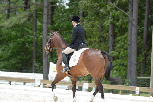 So8ths-5-3-13-Dressage-5649-CatiePannill-KokoaKat-DDeRosaPhoto