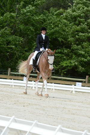 So8ths-5-3-13-Dressage-5151-BrianaTimmerman-ASplashofHenry-DDeRosaPhoto