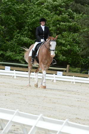 So8ths-5-3-13-Dressage-5152-BrianaTimmerman-ASplashofHenry-DDeRosaPhoto