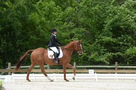 So8ths-5-3-13-Dressage-5292-SamanthaDiMaria-Valentine-DDeRosaPhoto
