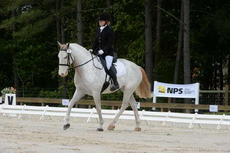 So8ths-5-3-13-Dressage-4867-LaurieWettstone-Moonstruck-DDeRosaPhoto