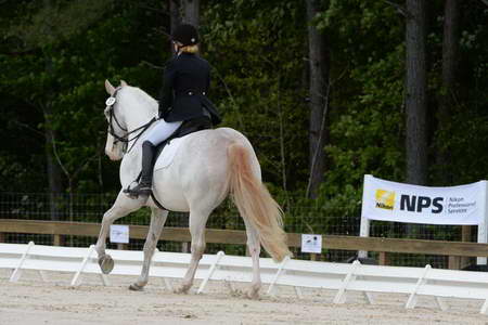 So8ths-5-3-13-Dressage-4900-LaurieWettstone-Moonstruck-DDeRosaPhoto