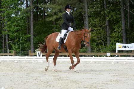 So8ths-5-3-13-Dressage-4980-SarahBaker-PoeticJustice-DDeRosaPhoto