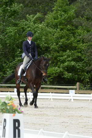 So8ths-5-3-13-Dressage-5007-KaitlynnMosing-Powerhound-DDeRosaPhoto
