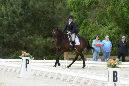 So8ths-5-3-13-Dressage-5016-KaitlynnMosing-Powerhound-DDeRosaPhoto