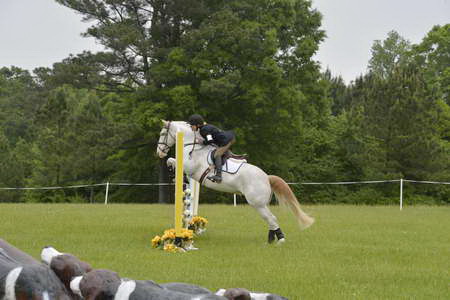 So8ths-5-5-13-SJ-Day-8943-LaurieWettstone-Moonstruck-DDeRosaPhoto