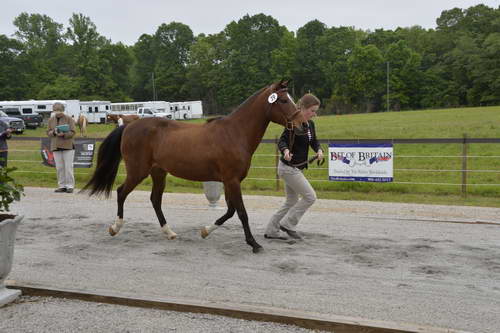 So8ths-5-5-13-SJ-Day-8695-DDeRosaPhoto