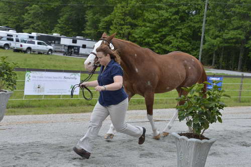 So8ths-5-5-13-SJ-Day-8856-DDeRosaPhoto