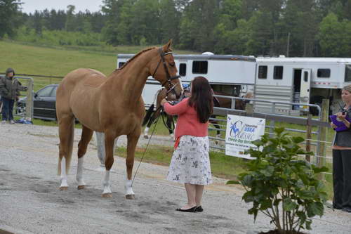 So8ths-5-5-13-SJ-Day-8521-DDeRosaPhoto
