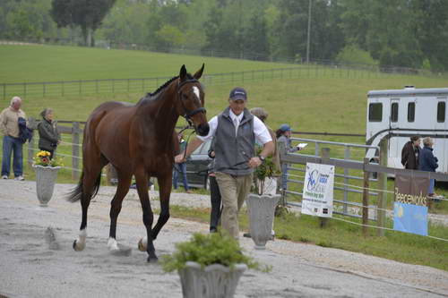 So8ths-5-5-13-SJ-Day-8593-DDeRosaPhoto