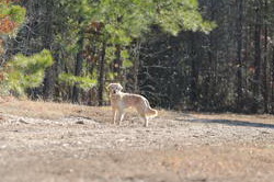 So8ths-2-6-11-31-DDeRosaPhoto.jpg