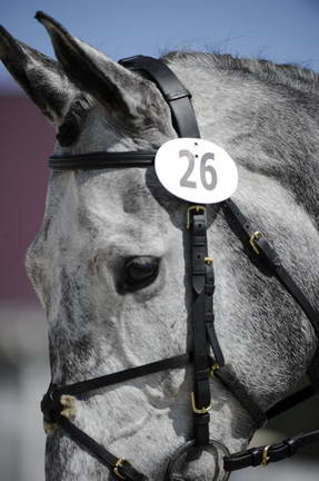 So8ths-11-29-11-DR2-099-DDeRosaPhoto.JPG