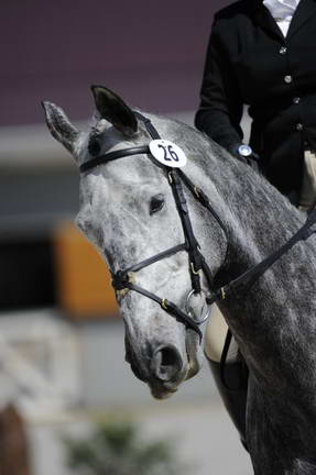 So8ths-11-29-11-DR2-120-DDeRosaPhoto.JPG