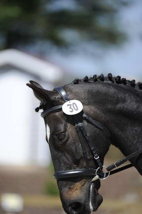So8ths-11-29-11-DR2-485-DDeRosaPhoto.JPG