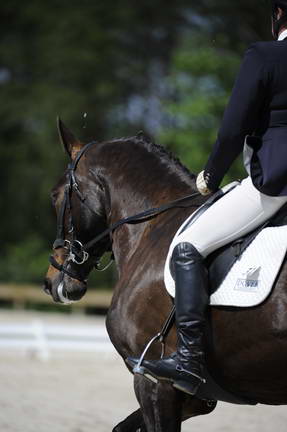 So8ths-11-29-11-DR2-538-DDeRosaPhoto.JPG