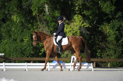 So8ths-4-28-11-DR-1357-DDeRosaPhoto.JPG