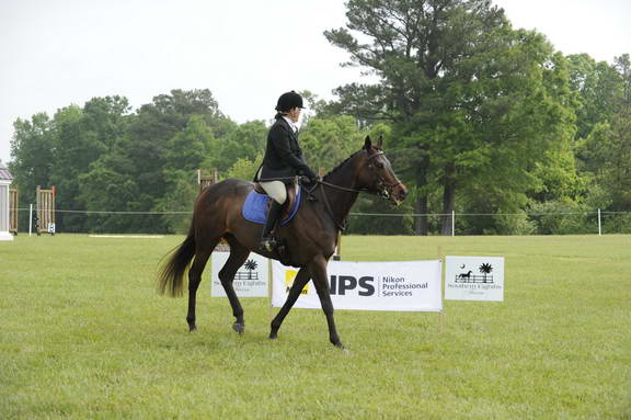 So8ths-5-1-11-6070-JeannetteFord-EmilyBug-DDeRosaPhoto.JPG