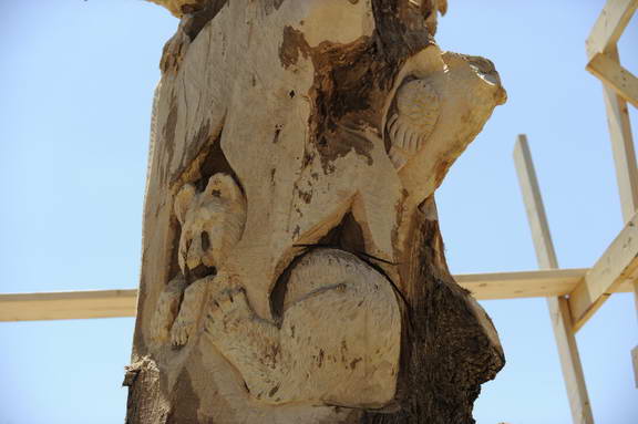 So8ths-4-29-11-2496-DDeRosaPhoto.JPG