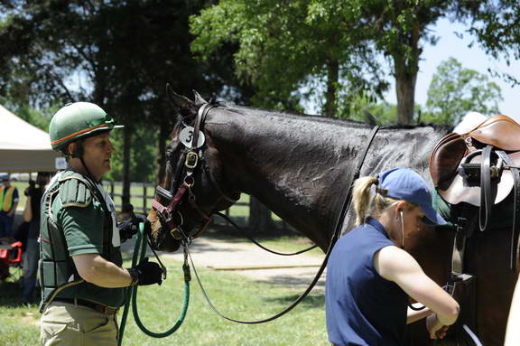 So8ths-4-30-11-5268-XC-DDeRosaPhoto.JPG