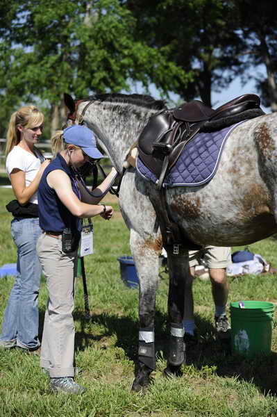 Vet-So8ths-4-30-11-4117-DDeRosaPhoto.JPG