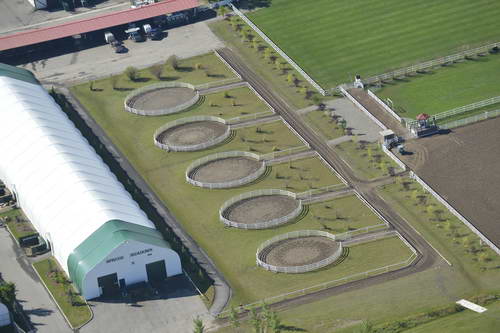 Spruce-Meadows-9-8-13-2279-DDeRosaPhoto