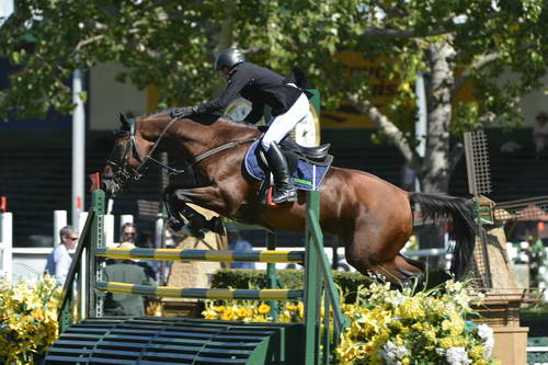 Spruce-Meadows-9-4-13-6954-HansDieterDreher-Colore-GER-DDeRosaPhoto