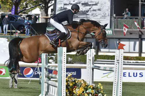 Spruce-TelusCup-9-11-14-2157-PieterDevos-EchoD-BEL-DDeRosaPhoto